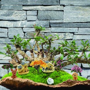 Assorted Miniature Dollhouse Bonsai Craft Fairy Garden Plant Pot Landscape-Decor 