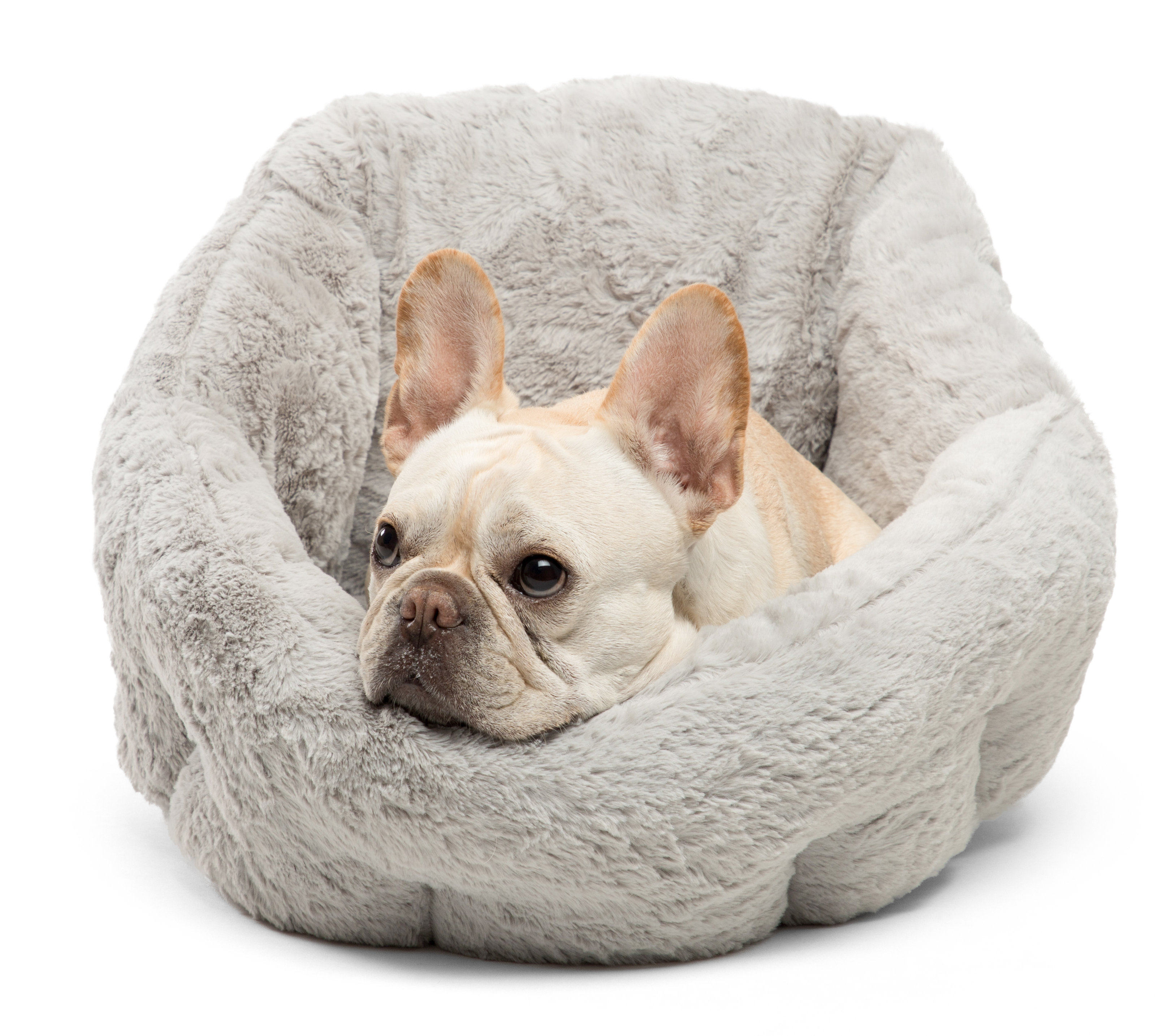plush dog bed
