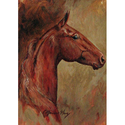 Colt Garden flag Toland Home Garden