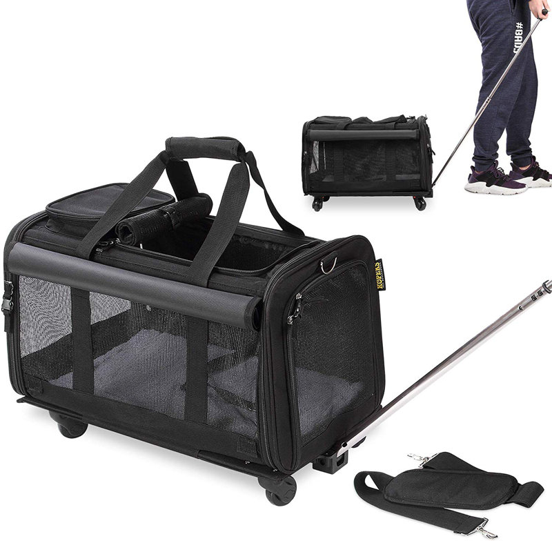 wayfair pet carrier