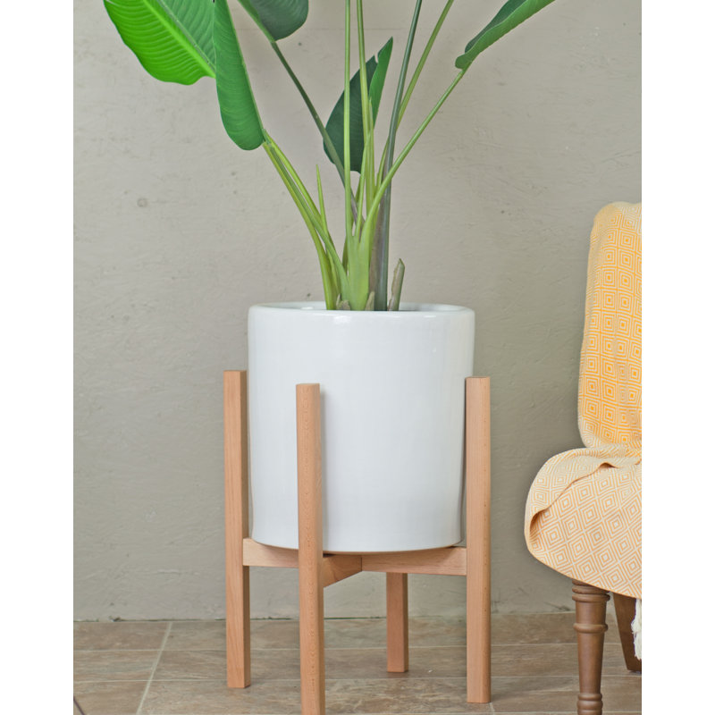George Oliver Daniell Ceramic Pot Planter Reviews Wayfair