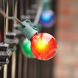 50-Light Globe String Lights