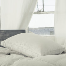 Wayfair Allied Home Bed Pillows You Ll Love In 2021