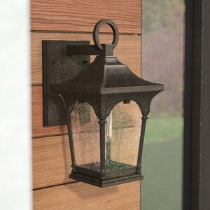 Alena 1-Light Outdoor Wall Lantern