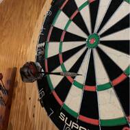 horse hair dart board