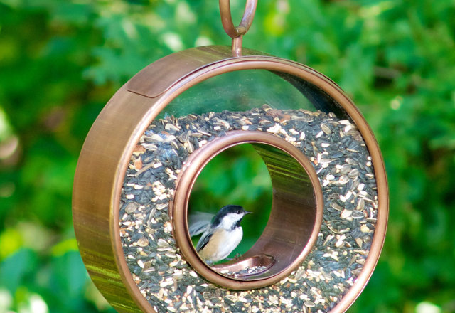 Our Favorite Bird Feeders