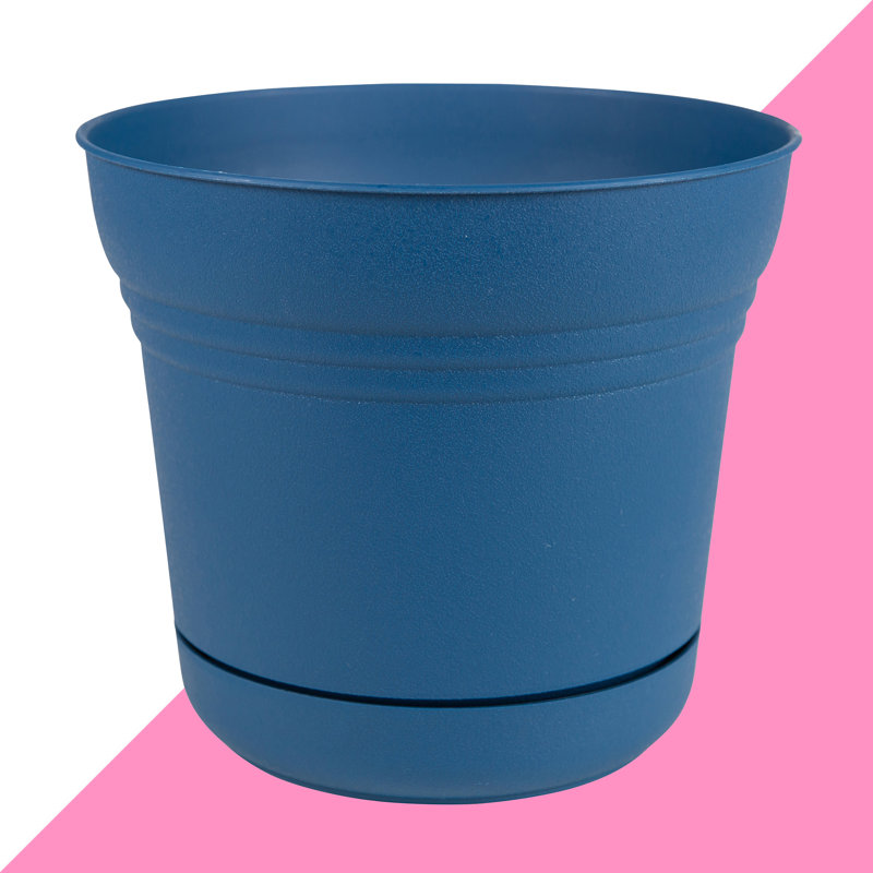 Hashtag Home Dundee Plastic Pot Planter Reviews Wayfair Hashtag Home Dundee Plastic Pot Planter