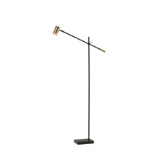 Modern floor task lamp