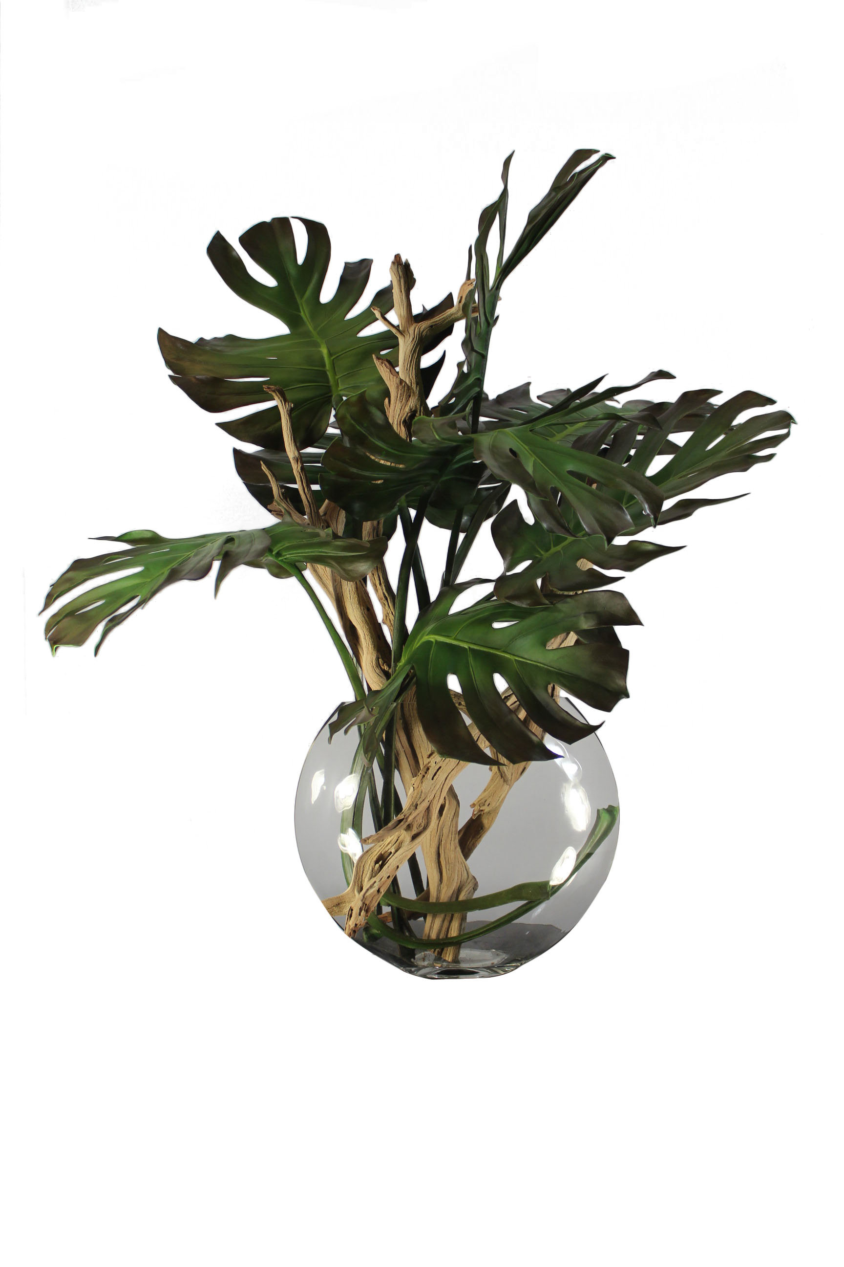Cfadesigngroup Monstera Leaves And Driftwood In Moon Vase Wayfair