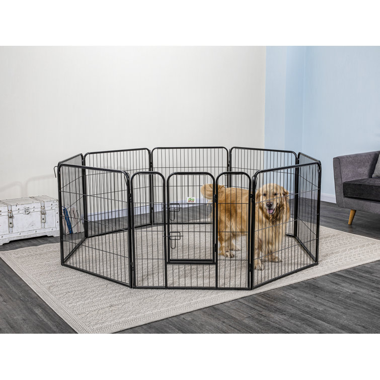 inside dog pen