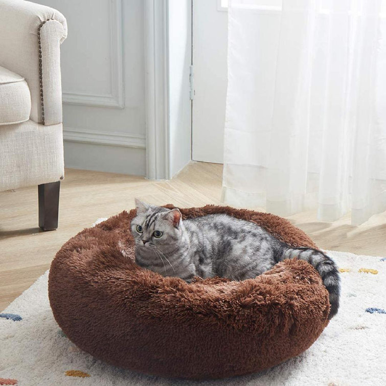 cat bed price