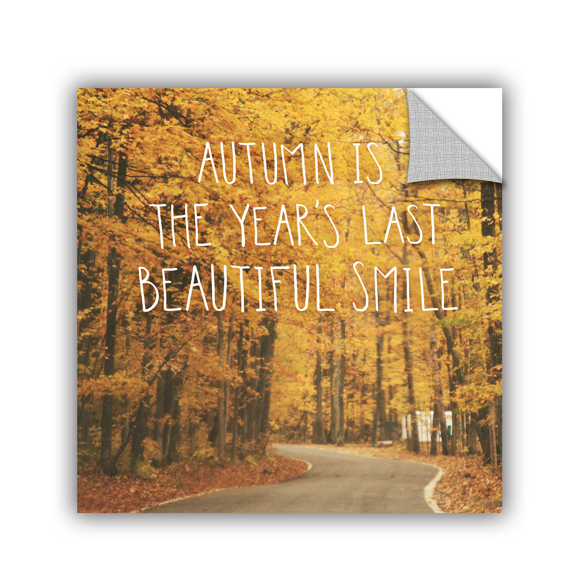 Artwall Laura Marshall October Color I Wall Decal Wayfair