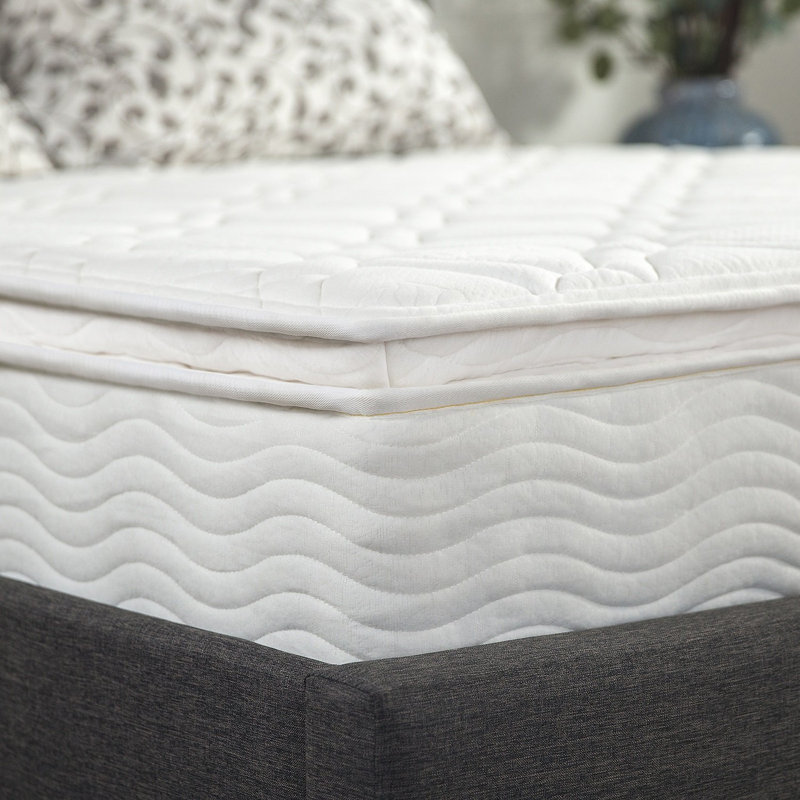 Alwyn Home 10 Medium Pillow Top Mattress Reviews Wayfair