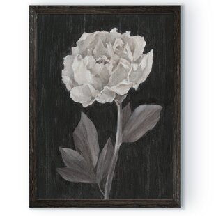 Black And White Flower Prints Wayfair