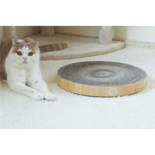 wayfair cat scratching post