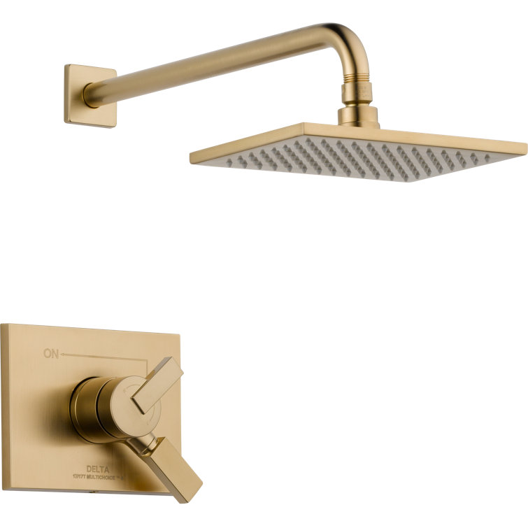 T17253 Ss Cz Delta Vero 17 Series Shower Faucet With Trim And Monitor Reviews Wayfair