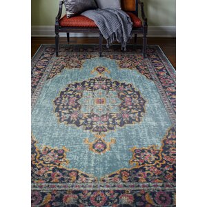 Robbins Teal Area Rug