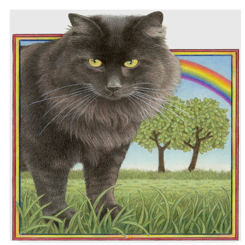Trademark Art Black Cat And Rainbow Acrylic Painting Print On