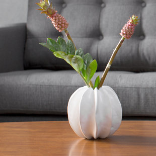 White Sea Star Vase