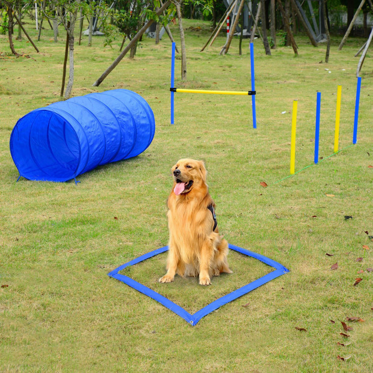 dog agility playset