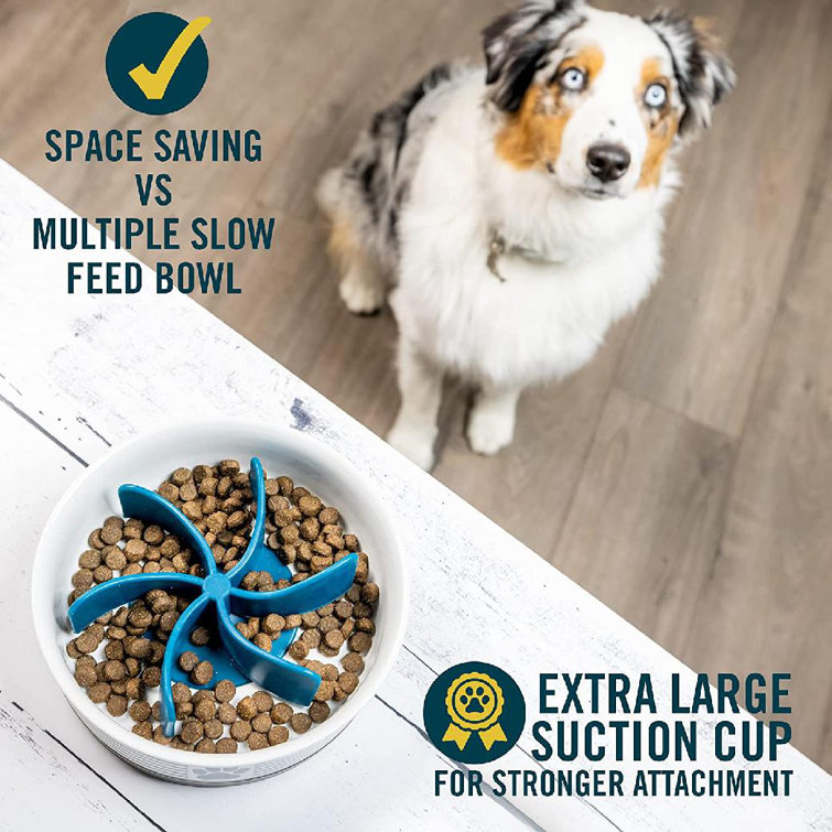 slow feeder insert for dogs