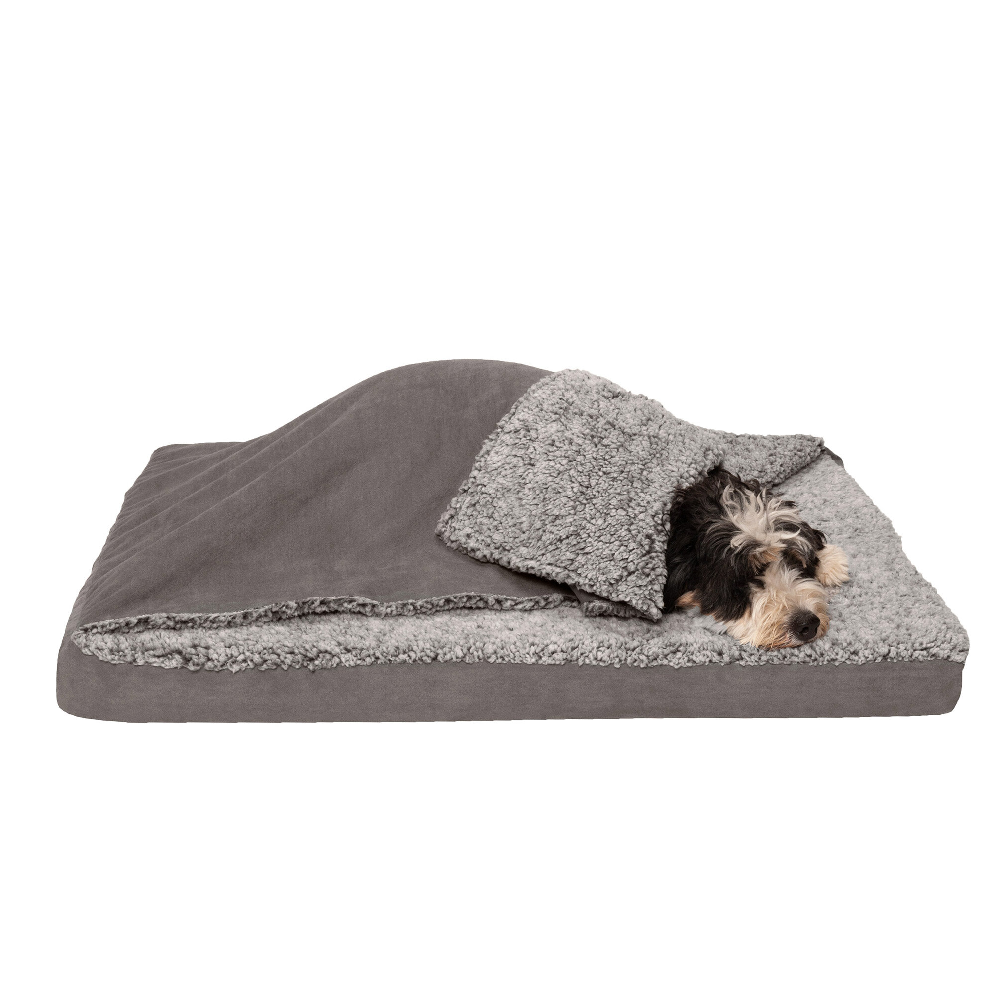why do dogs like heated blankets