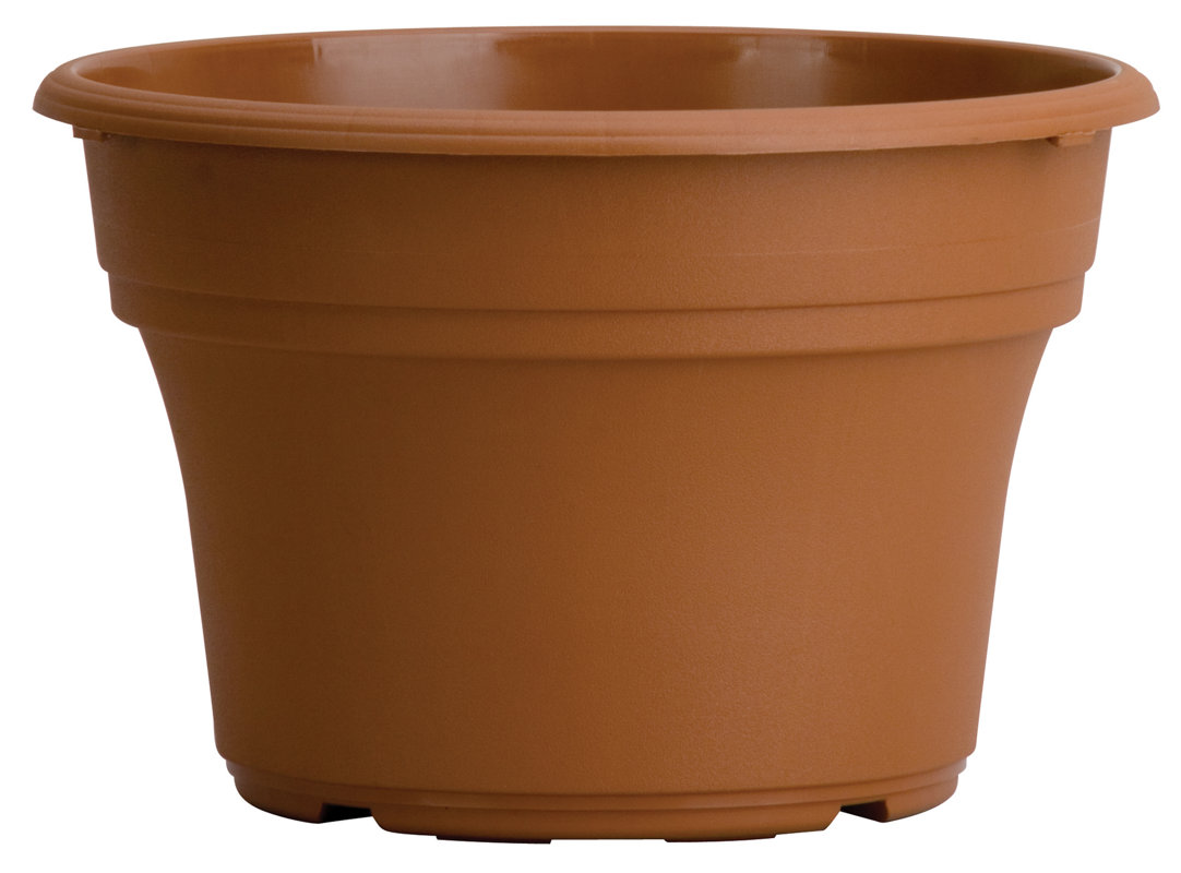 Myers/Akro Mills Panterra Ceramic Pot Planter & Reviews Wayfair
