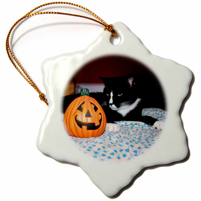 The Holiday Aisle Tuxedo Cat Behind Small Pumpkin Snowflake Holiday Shaped Ornament Wayfair