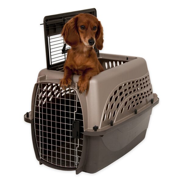 dog carrier for 30lb dog