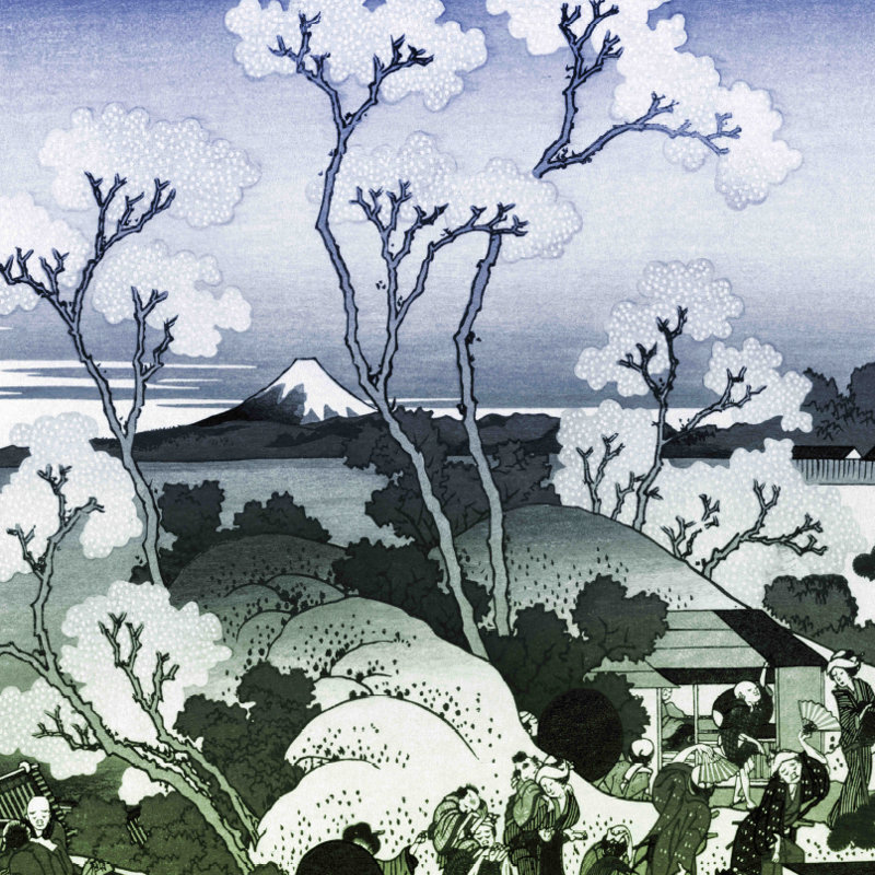 Vault W Artwork Mt Fuji Through The Cherry Blossoms By