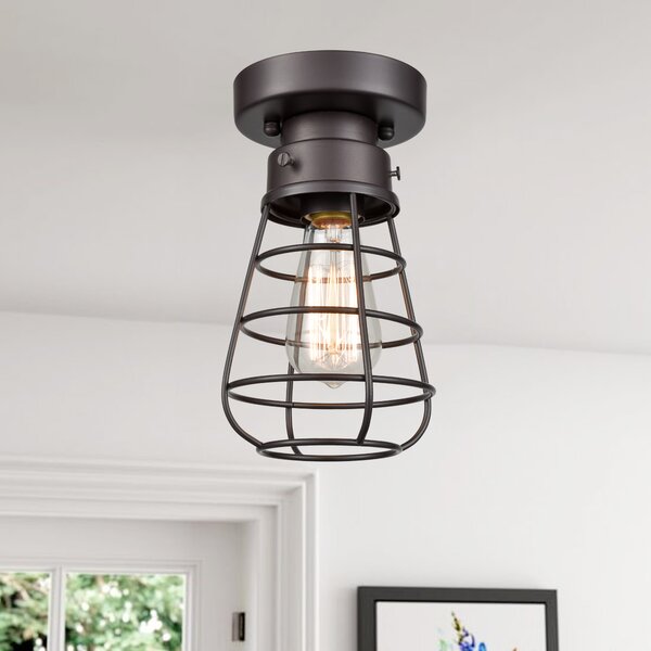 Cage light fixture