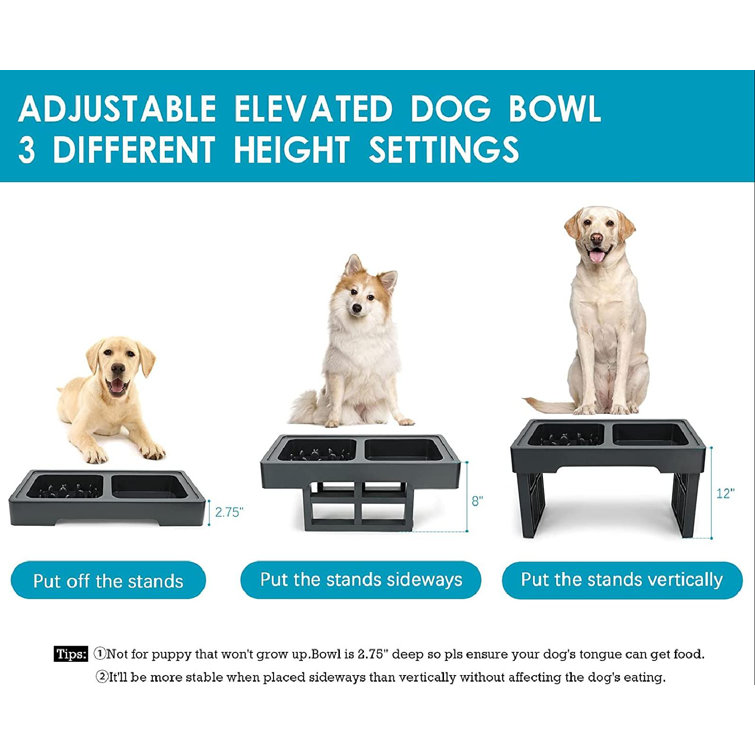 dog feeder height