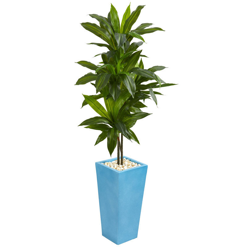 Latitude Run Artificial Floor Dracaena Plant In Planter Wayfair