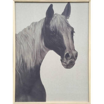 Indian Horse Ii Oil Painting Print On Wrapped Canvas Joss Main