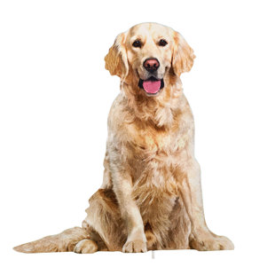 Golden Retriever Statues Sculptures You Ll Love In 2021 Wayfair