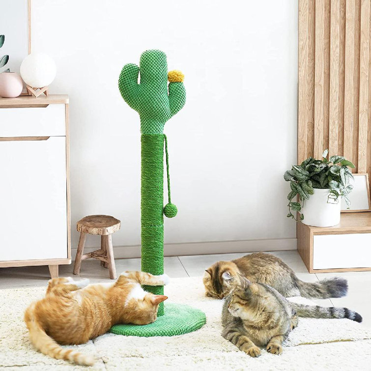 cactus scratching post