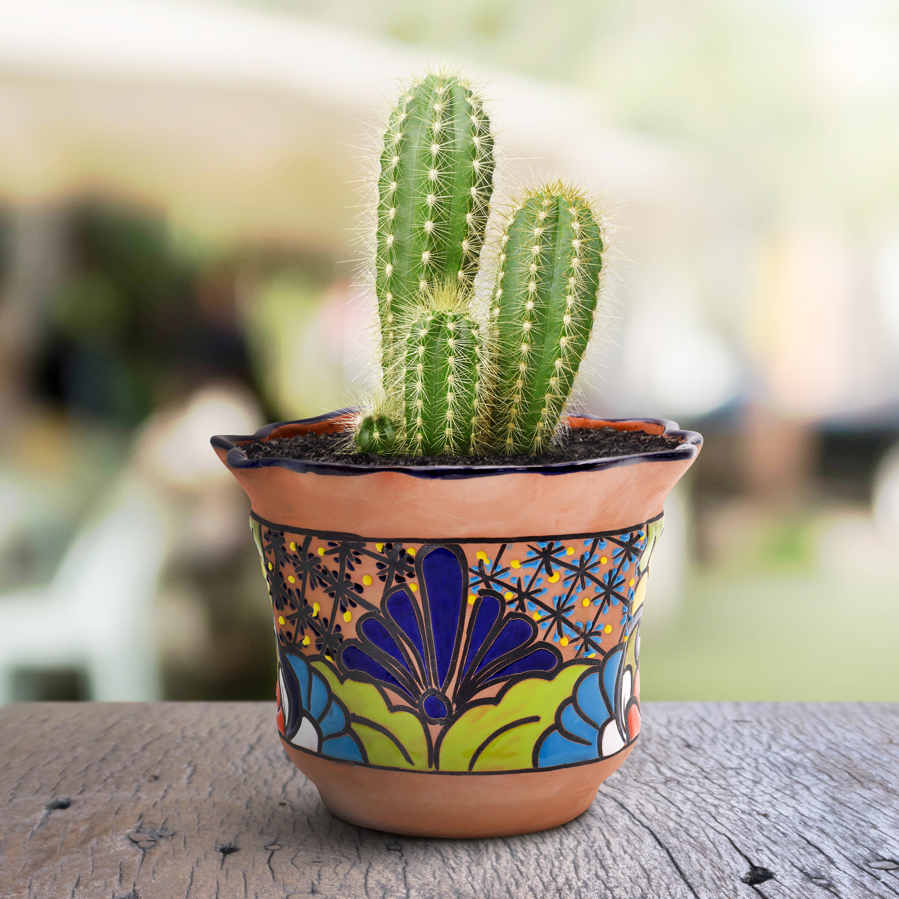 Vintage Handmade Mexican Cactus Pot
