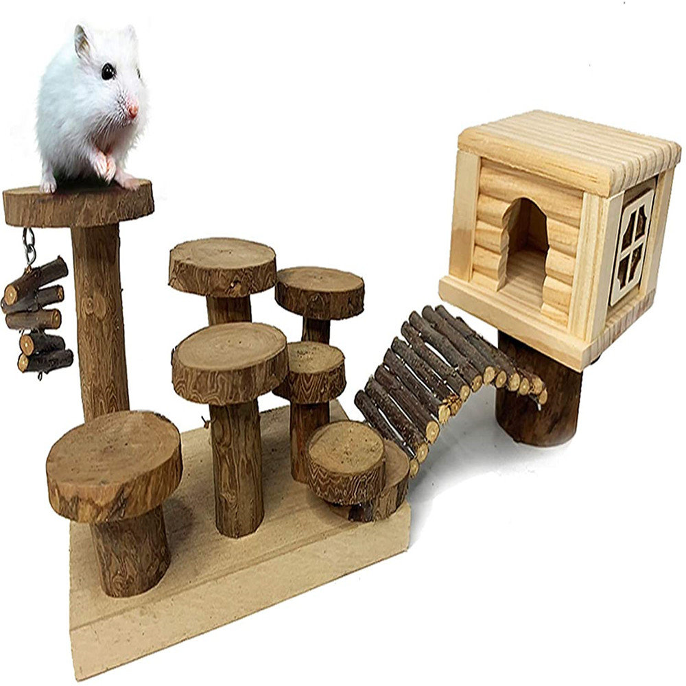 dwarf hamster playground