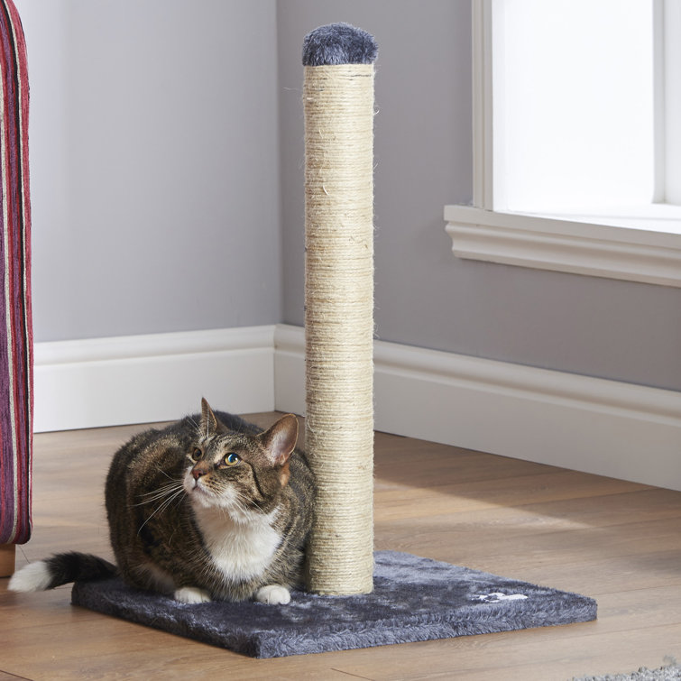 a scratching post