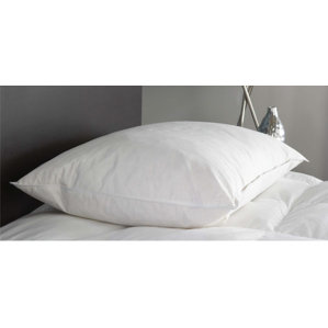 Oasis Feather Pillow by Linen Depot Direct