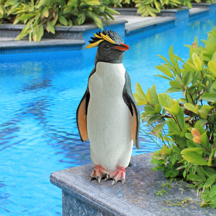 31lbs penguin concrete statue