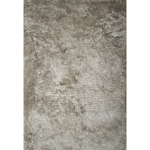 Yan Hand-Woven Polyester Gray Indoor Area Rug