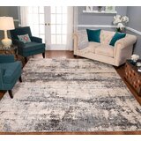 10' x 14' Gray & Silver Area Rugs You'll Love in 2020 | Wayfair