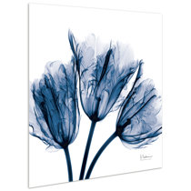 Tempered Glass Art Wayfair