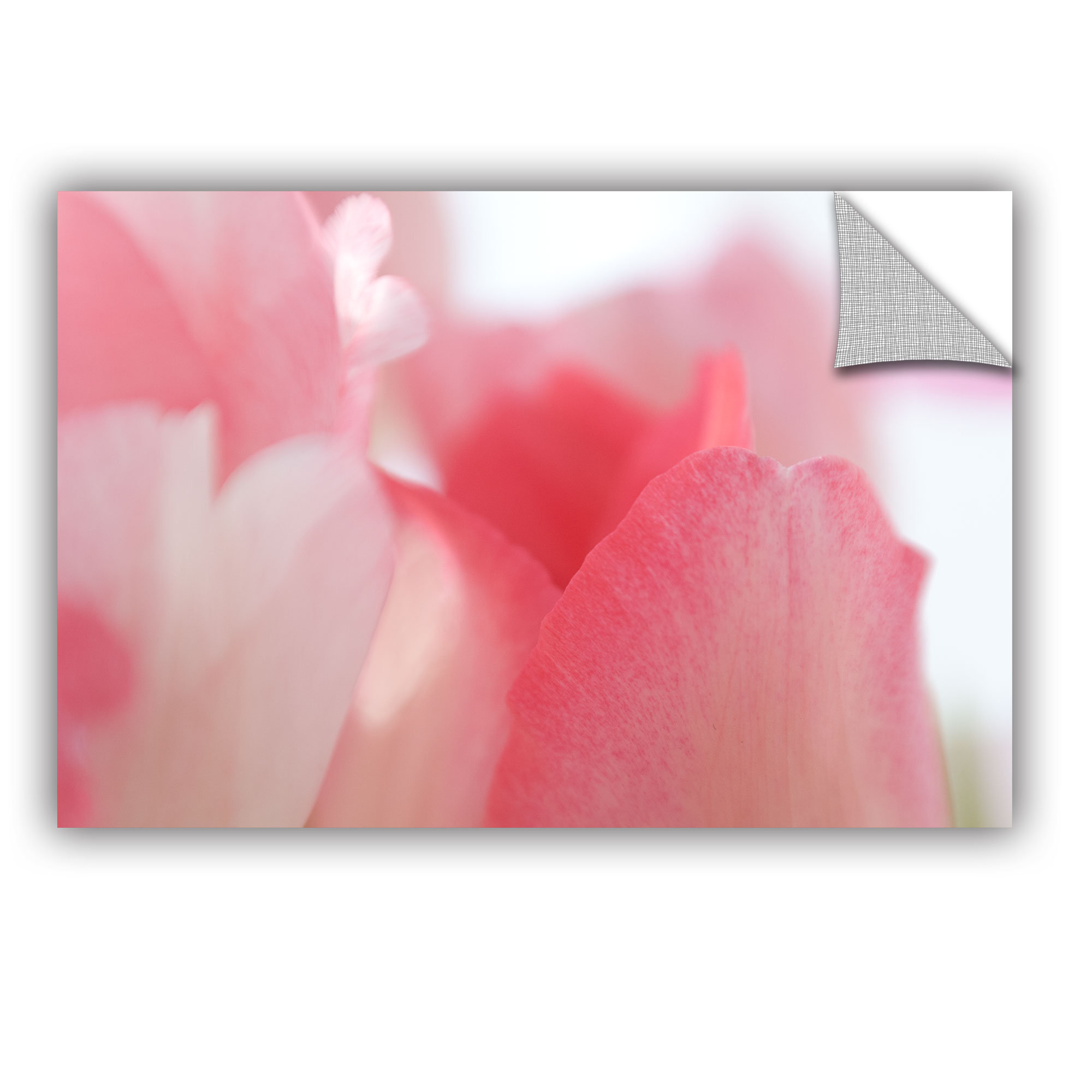 Artwall Judy Stalus Pink Tulip Petals Removable Wall Decal Wayfair