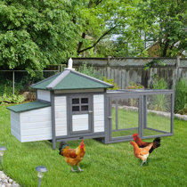Poulaillers: Choisissez la taille de votre élevage - 2-4 poulets