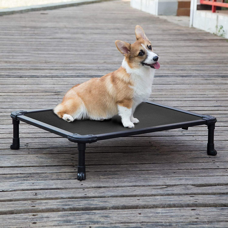 pvc dog bed