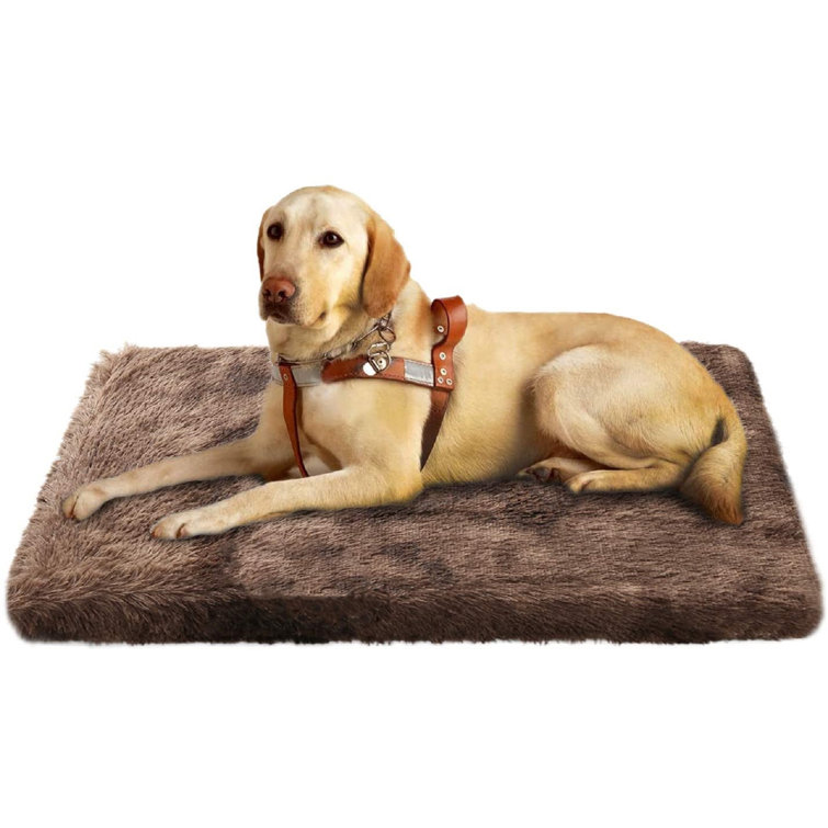 memory foam dog crate pad