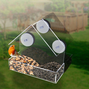 Bird Feeders You Ll Love In 2020 Wayfair