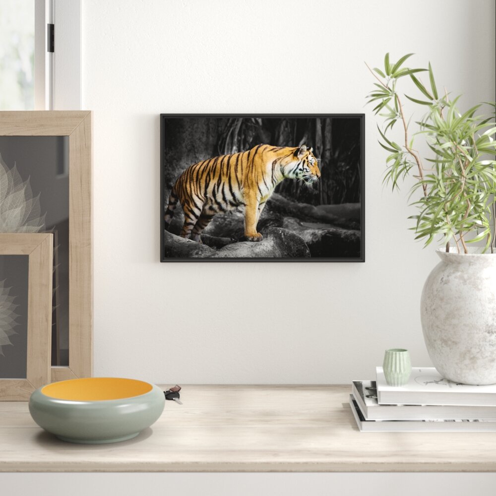 knurrender Tiger auf Steinen Leinwandbild Wanddeko Kunstdruck 